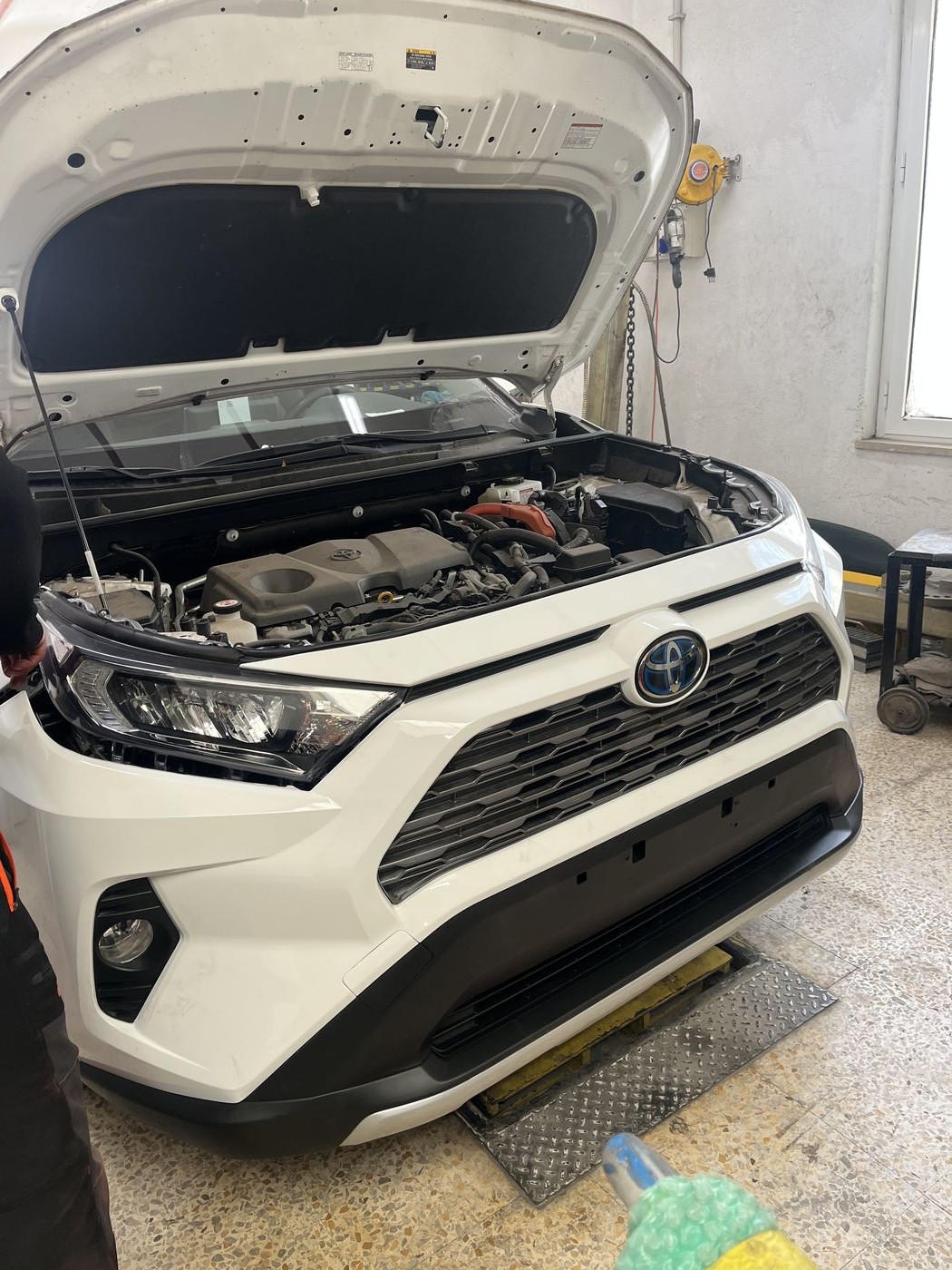 Toyota RAV4 cofano